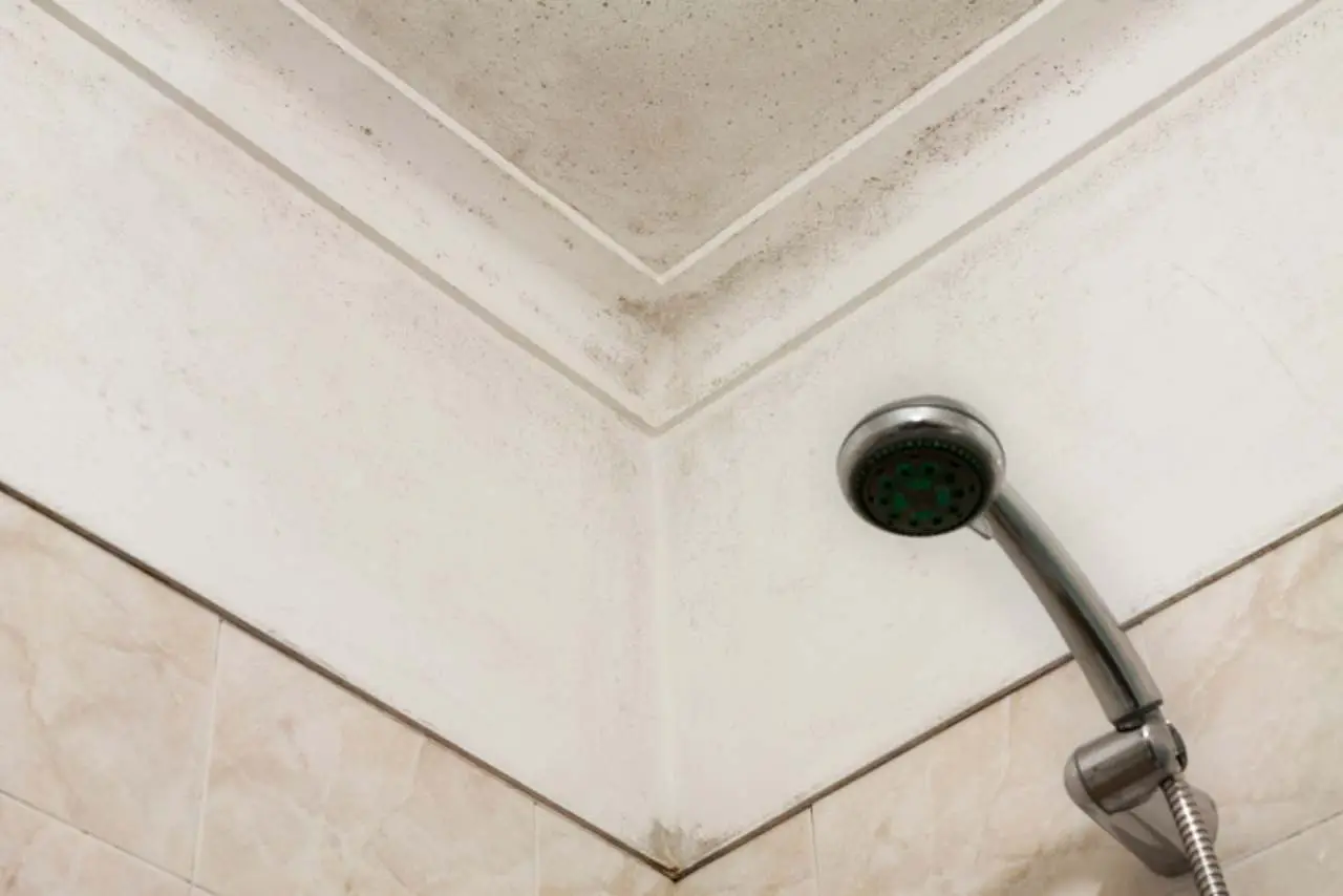 Il soffitto del bagno ha la muffa: ecco perché succede e come prevenirla