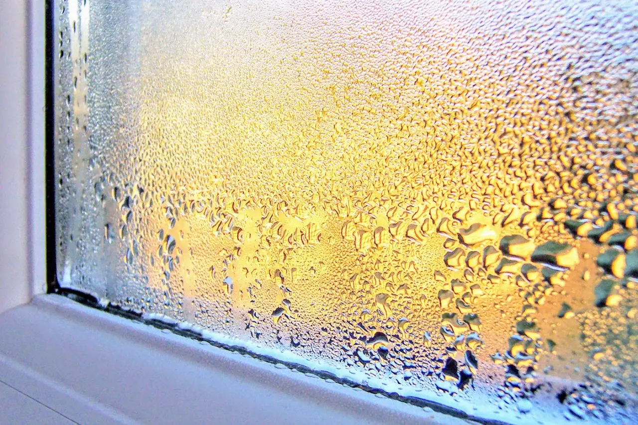Come eliminare la condensa in casa: ecco cosa devi fare