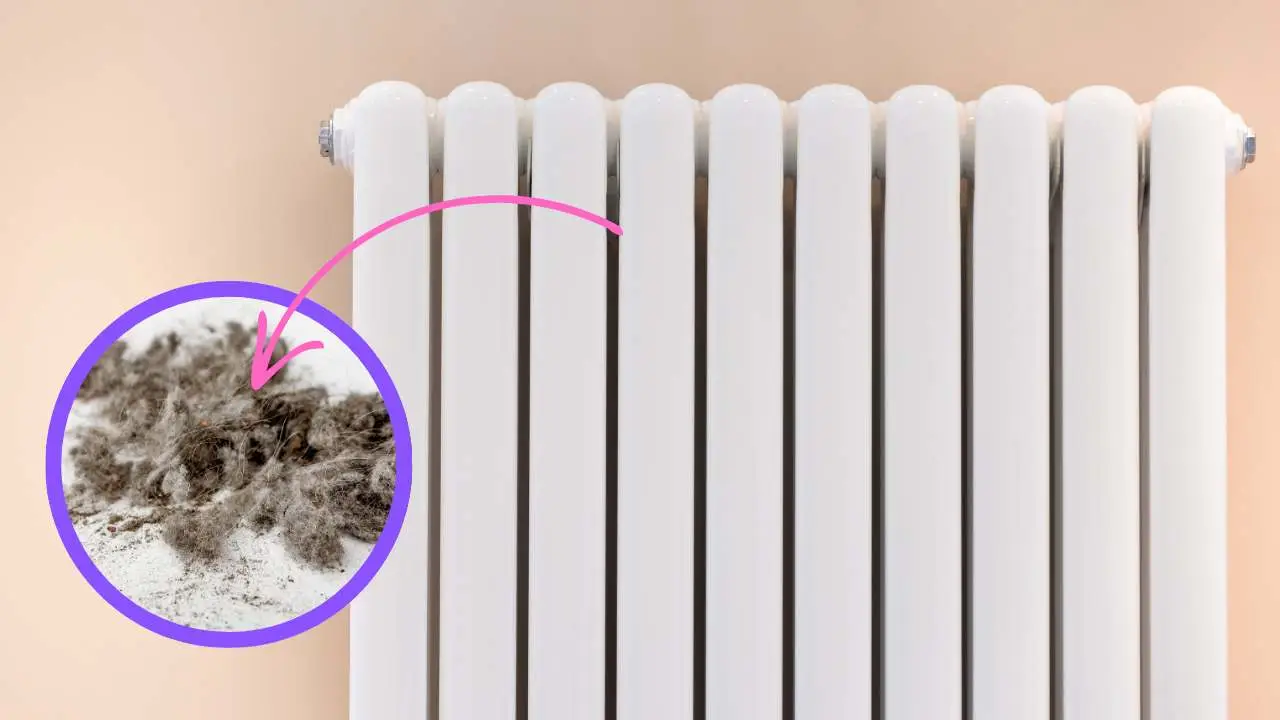 Come si fa a pulire i caloriferi e renderli più efficienti: la polvere interna blocca il calore