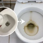 Come togliere il nero dal fondo del water: ecco cosa devi fare