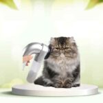 Scopri SpazzolAmica: elimina i peli degli animali e migliora la pulizia di casa