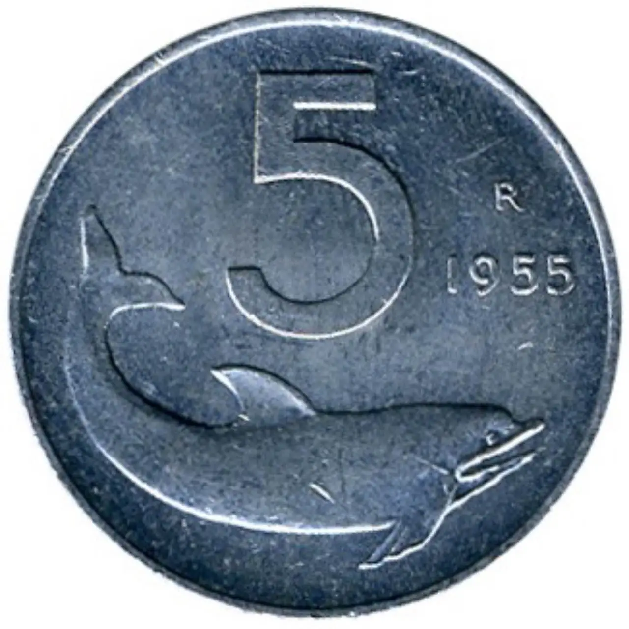 Hai queste 5 lire con il delfino del 1954: ecco quanto valgono
